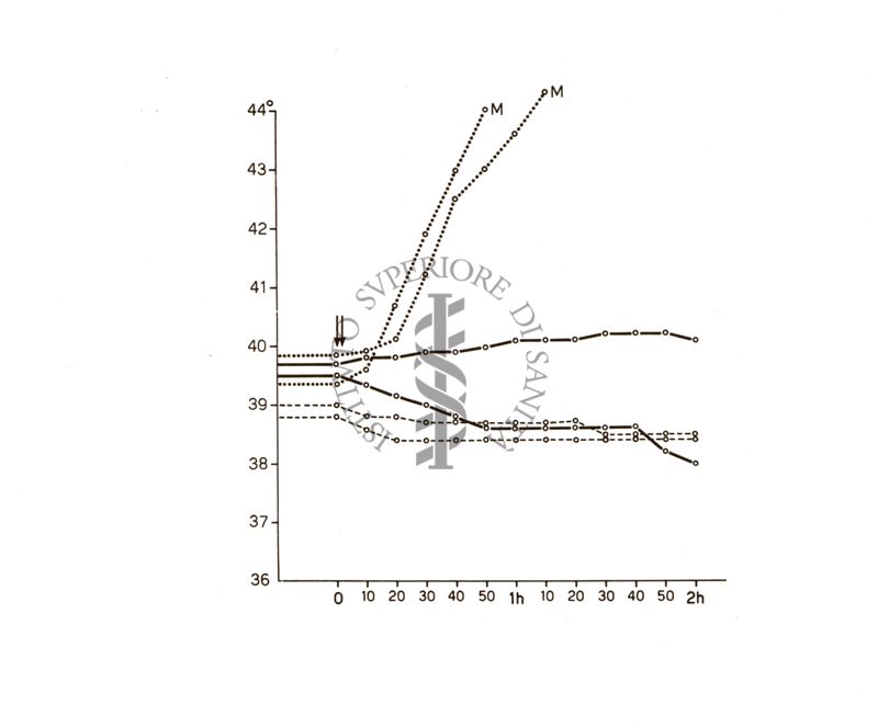 Ergotamminici di sintesi - azione sulle temperature del coniglio delle etil-tetraidro- naftilammina