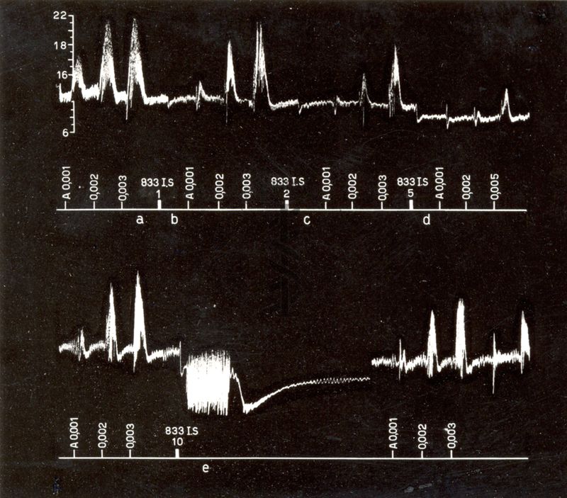 Ergotamminici di sintesi - 833 I.S. azione cardiovascolare nel cane