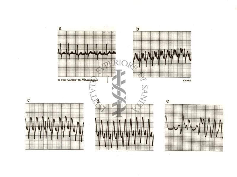 Ergotamminici di sintesi - 833 I.S. azione cardiovascolare nel cane