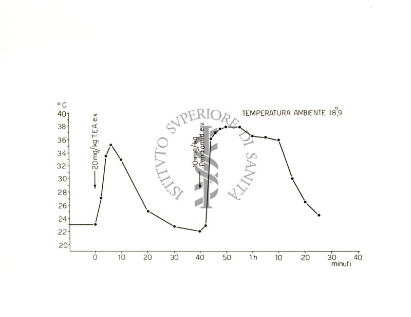 Ganglioplegici di sintesi - azione del tetraetilammonio e del pendiomid sulla temperatura cutanea dell'orecchio del coniglio (Virno)