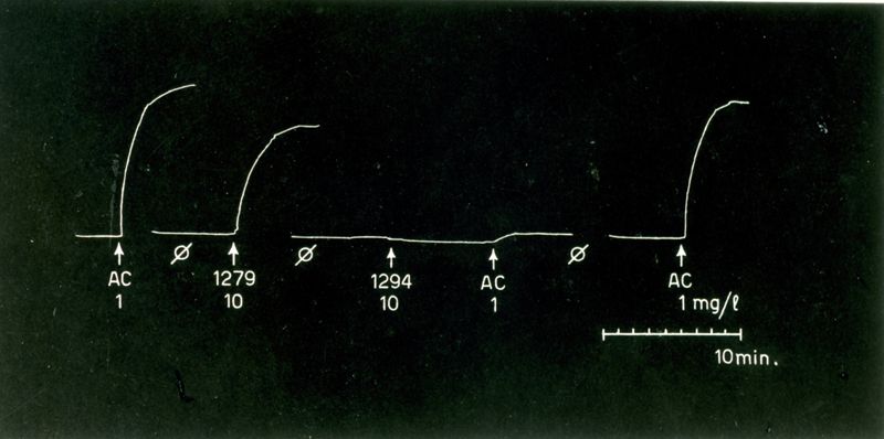 Derivati del C. 6