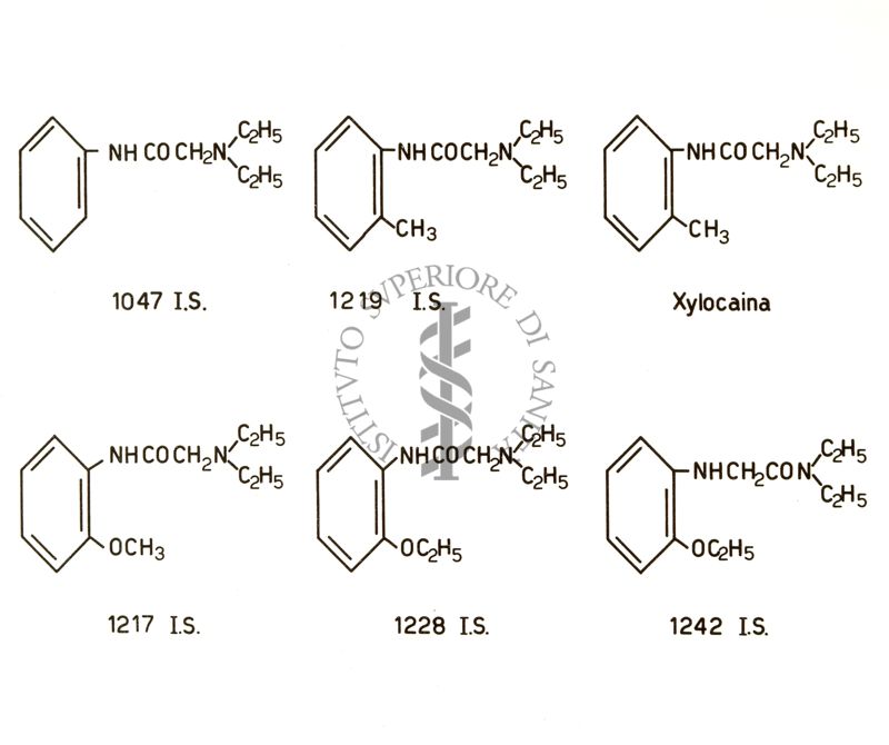 Derivati della N, N - dietil - fenilglicinammide