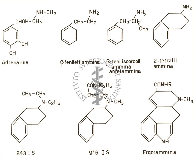 Relazioni di costituzione tra adrenalina e derivati del THN