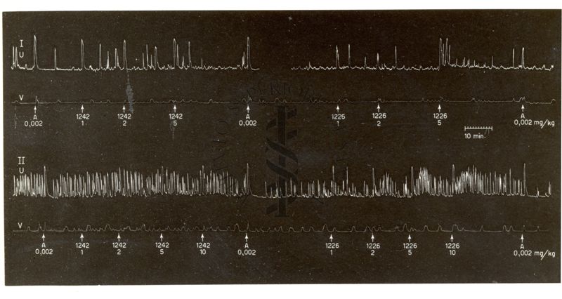 Derivati oxitocici - effetti comparativi del derivato 1226 I.S. e del suo isonumero 1242 I.S. nell'utero in situ di coniglio