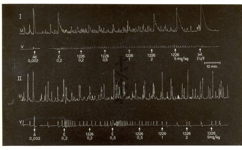 Derivati oxitocici - azione del derivato 126 I.S. in due coniglie su preparazione di uteri in situ