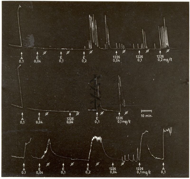 Derivati oxitocici - azione 1226 I.S. sull'utero isolato di coniglio paragonata all'azione dell'Ergometrina