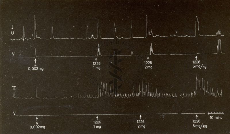 Derivati oxitocici - azione del 1226 I.S. su due coniglie. Preparazioni di uteri "in situ".