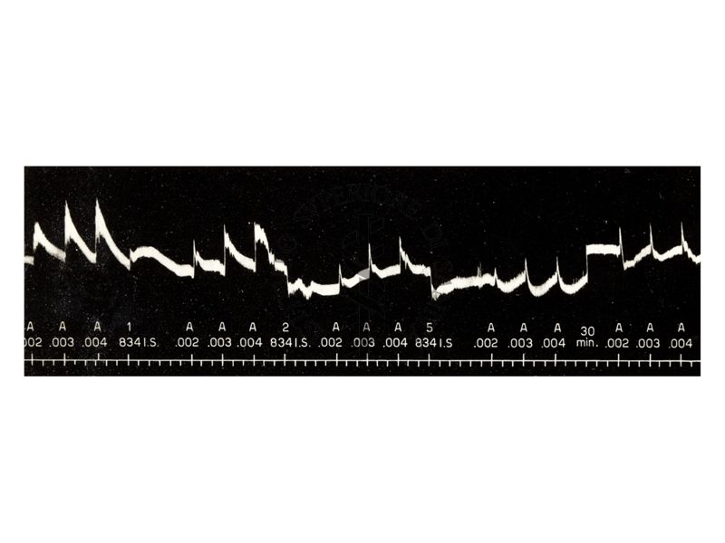 Farmaci simpatolitici - azione simpatolitica del derivato 834 I.S. sulla pressione arteriosa del cane