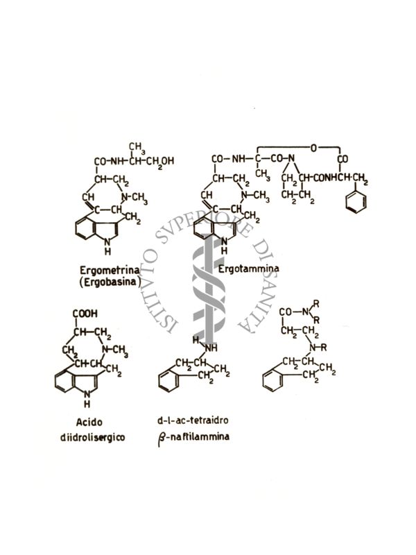 Farmaci simpatolitici - rapporti di struttura fra gli alcaloidi dell'ergotammine e i derivati sintetici della tetraidro-naftilammina