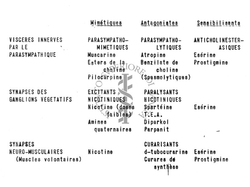 Classificazione generale dei medicamenti del sistema nervoso vegetativo