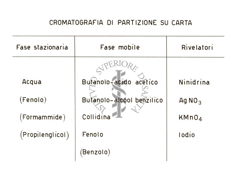 Cromatografia di partizione su carta