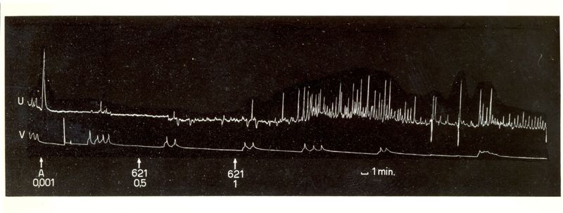 Grafico indicante l'azione oxitocica di alcuni derivati di sintesi della tetra idro naftil ammina su uteri isolati di coniglio e di cavia