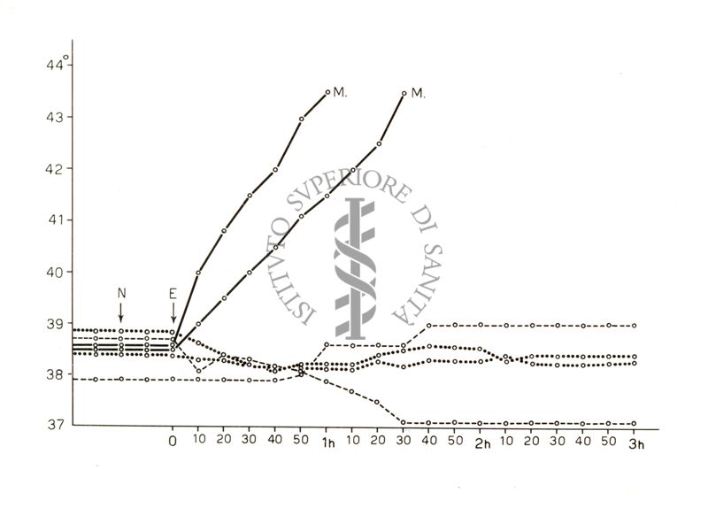 Diagramma riguardante l'azione iperemizzante di Etil - Thn