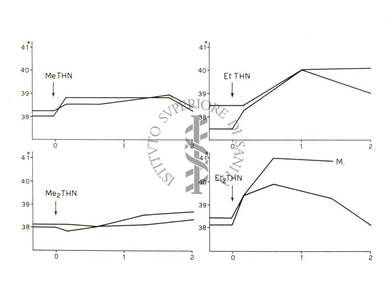 Diagramma riguardante l'azione iperemizzante di Etil - Thn