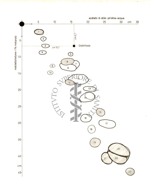 Cromatogramma su carta - alcaloidi della Strychnos-Trinervis