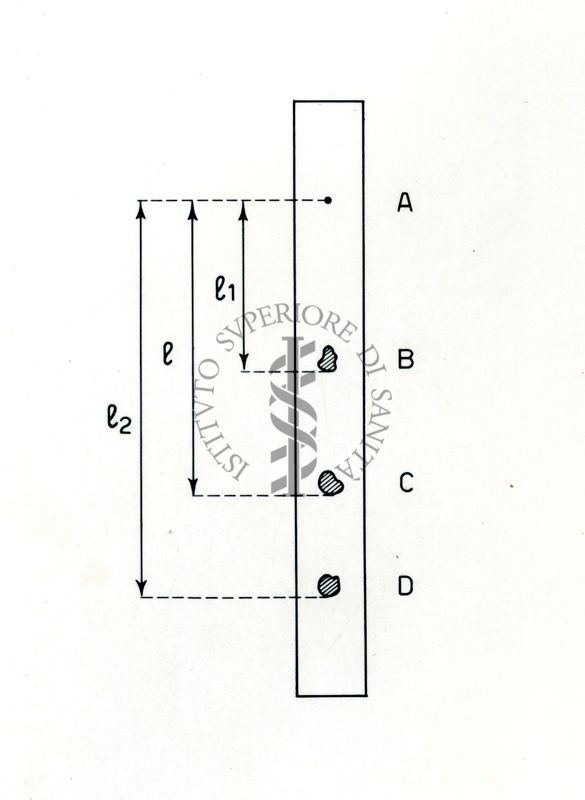 Grafico riguardante la costituzione di sostanze organiche