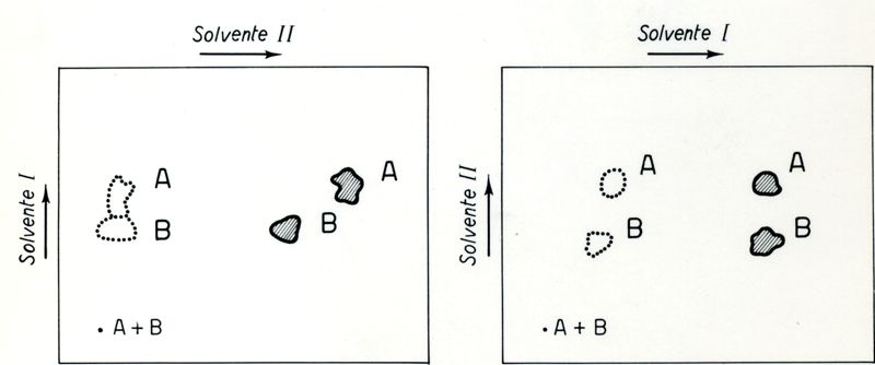 Grafico riguardante la costituzione di sostanze organiche