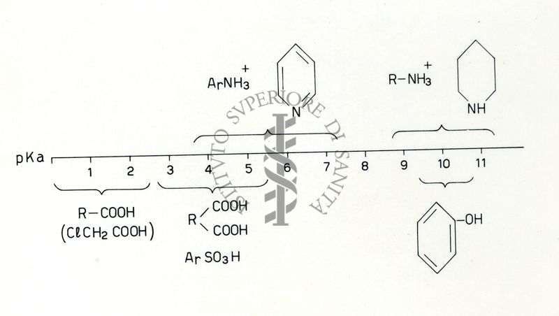 Formule riguardanti la costituzione di sostanze organiche