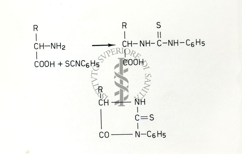 Formule riguardanti la costituzione di sostanze organiche