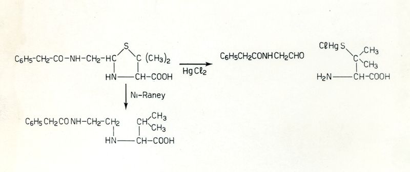 Formule riguardanti la costituzione di sostanze organiche