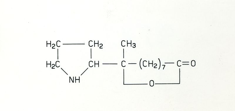 Formule riguardanti la costituzione di sostanze organiche