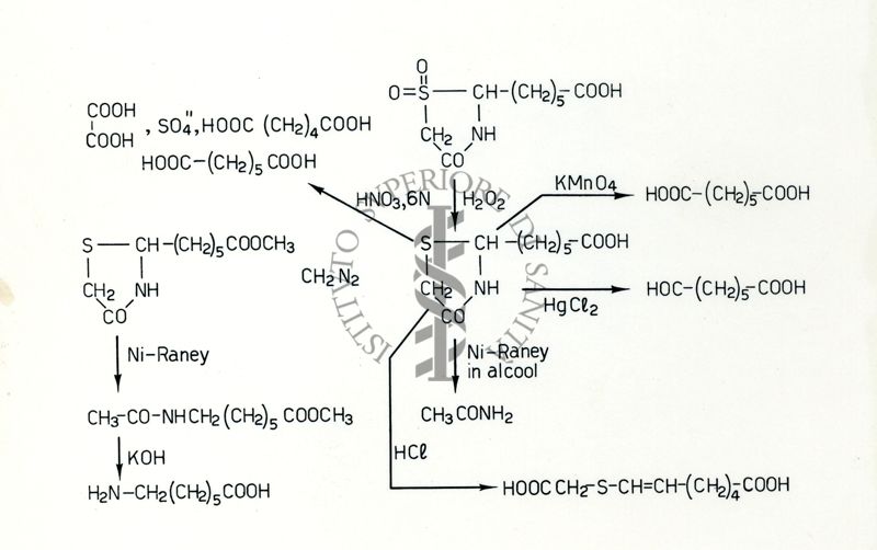 Formule riguardanti la costituzione di sostanze organiche