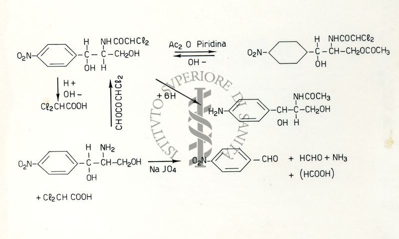 Formule riguardanti la costituzione di sostanze organiche