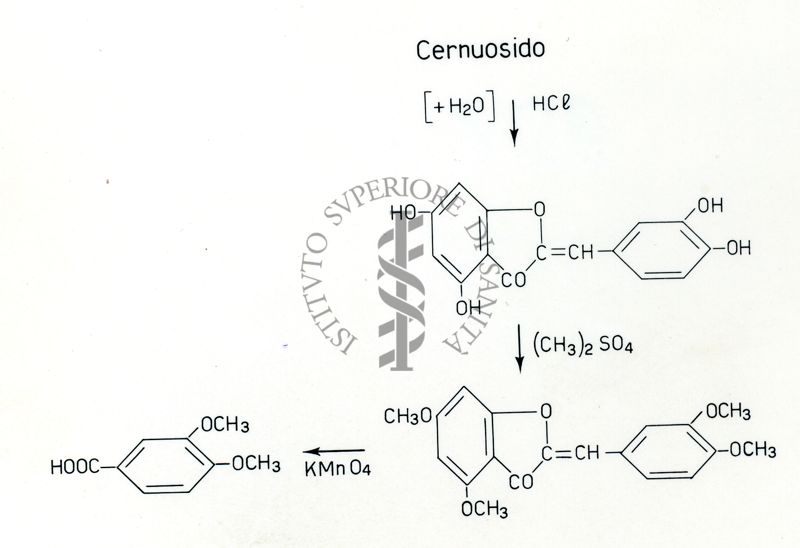 Formule riguardanti la costituzione di sostanze organiche