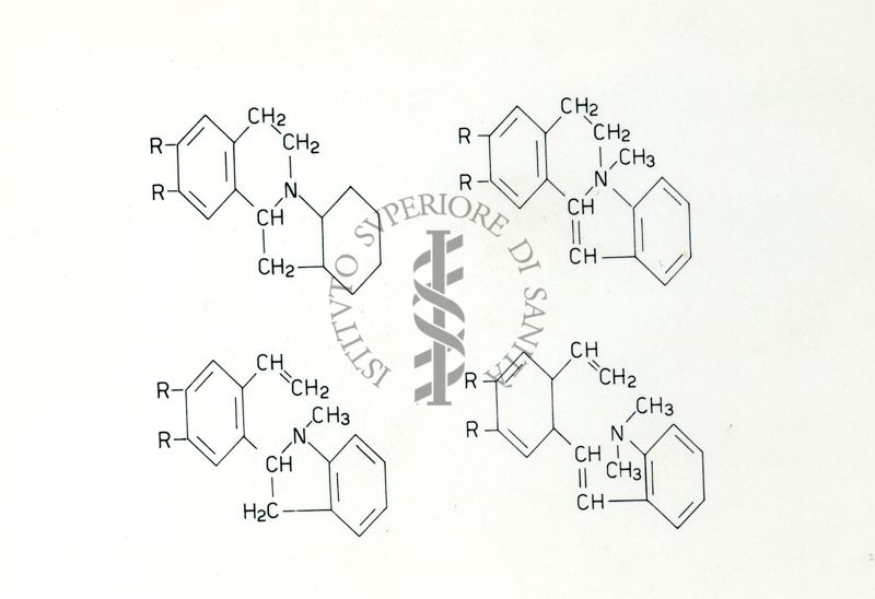 Formule riguardanti la costituzione di sostanze organiche