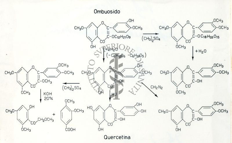 Formule riguardanti la costituzione di sostanze organiche