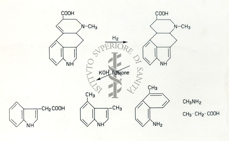 Formule riguardanti la costituzione di sostanze organiche