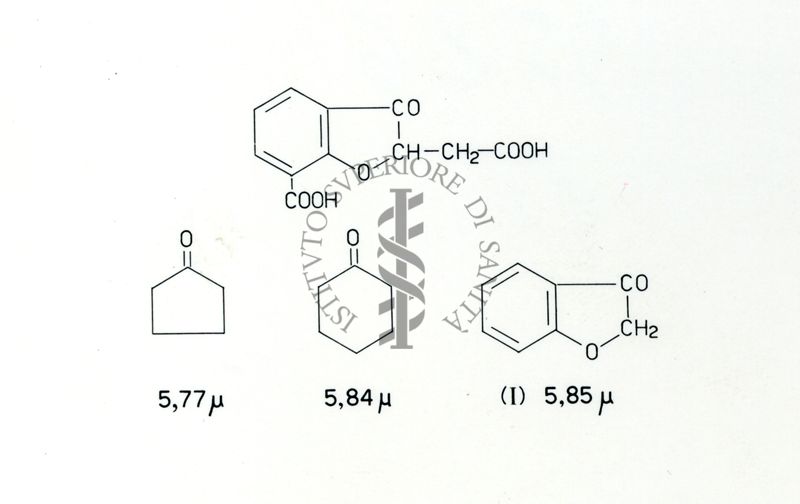 Formule riguardanti la costituzione di sostanze organiche