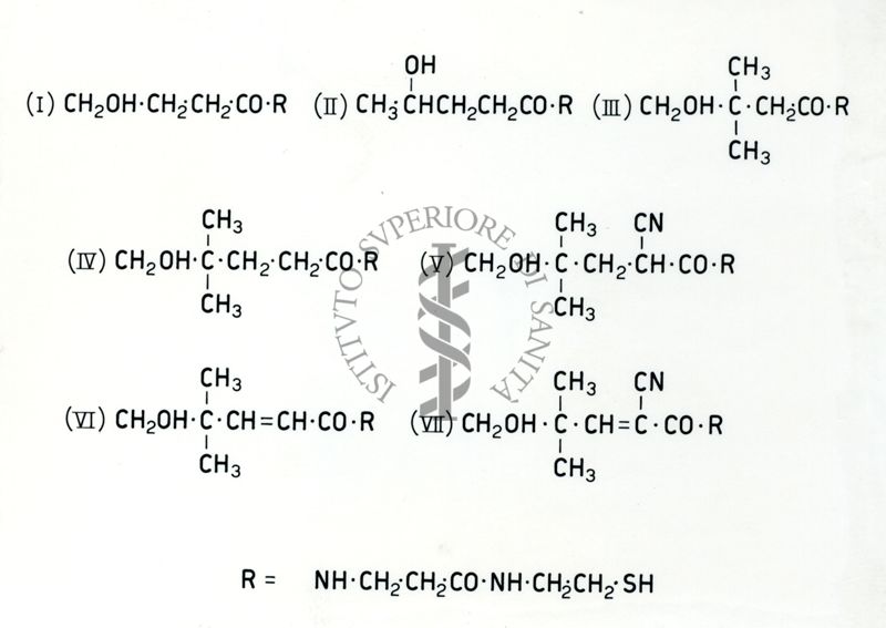 Chimica dell'acido Pantotenico