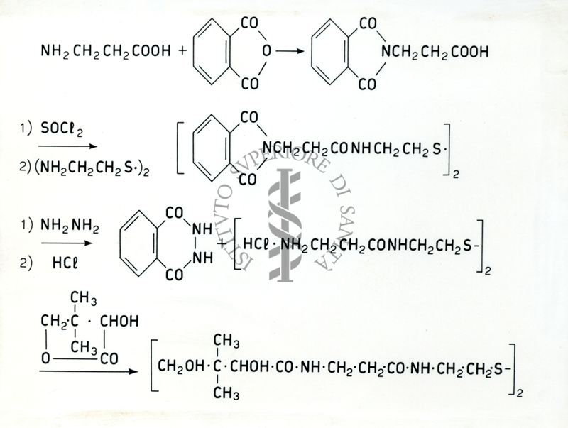 Chimica dell'acido Pantotenico