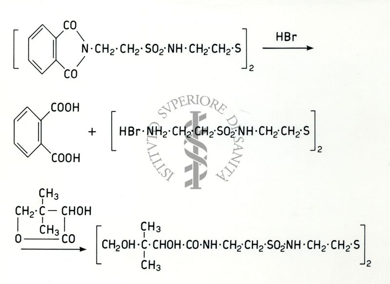 Chimica dell'acido Pantotenico