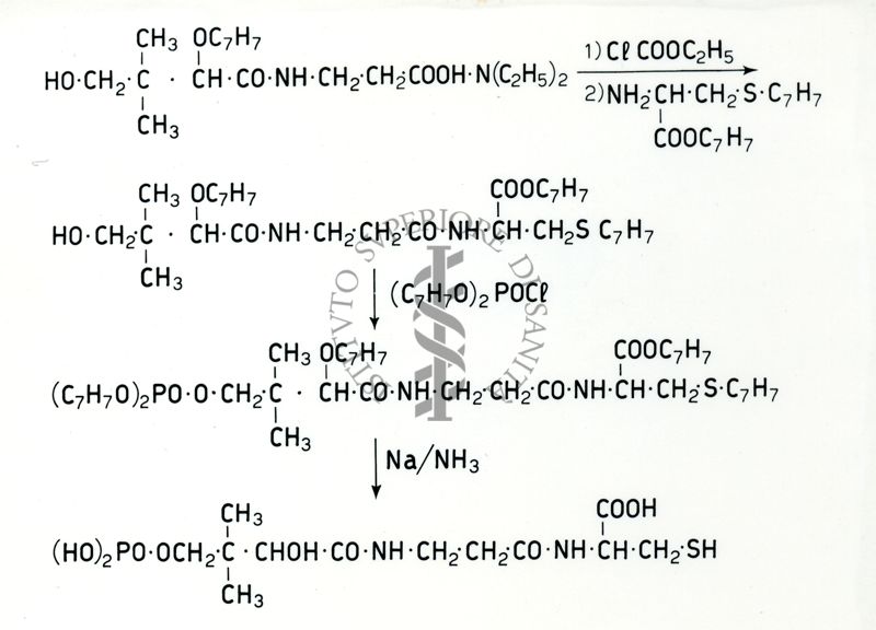 Chimica dell'acido Pantotenico