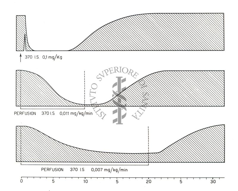 Grafici rappresentanti curari di sintesi (succinilcolina nella perfusione continua nel cane)