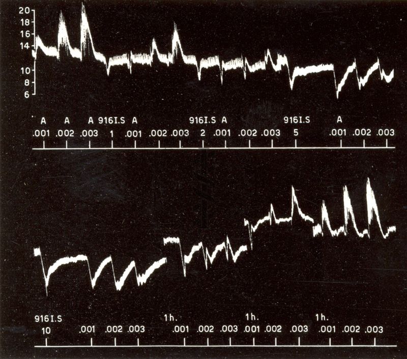 Grafici raffiguranti l'azione sulla pressione arteriosa del cane da simpatolitici di sintesi (derivati dell'ergotammina)