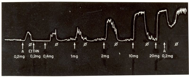 Grafici raffiguranti oxitocici di sintesi (derivati dell'ergotammina) azione dell'etilamminotetralina sull'utero di coniglio