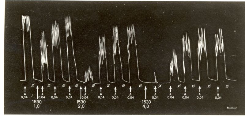 Tabelle e grafici riguardanti l'azione spasmotica del 1205 I.S. e del 1530 I.S.