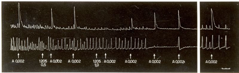 Tabelle e grafici riguardanti l'azione spasmotica del 1205 I.S. e del 1530 I.S.