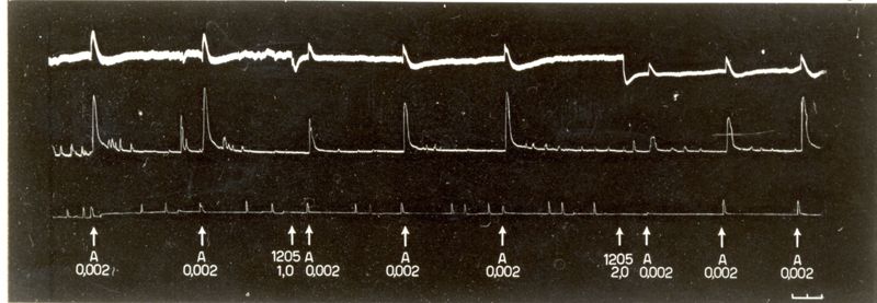 Tabelle e grafici riguardanti l'azione spasmotica del 1205 I.S. e del 1530 I.S.