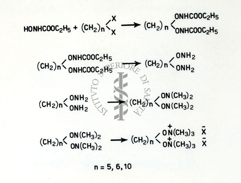 Muscarinici di Sintesi