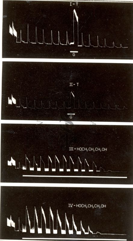 Tracciato riguardante il metabolismo dell'intestino isolato del coniglio