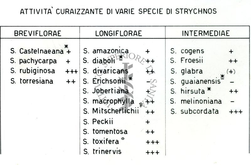 Lavoro Strychnos