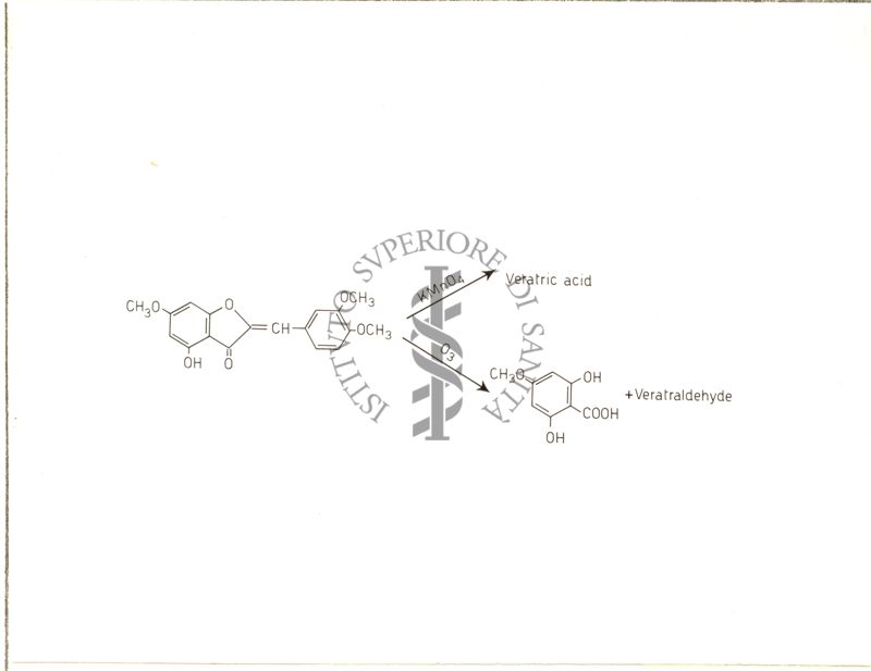 Diagrammi riguardanti la Costituzione del Cernuoside