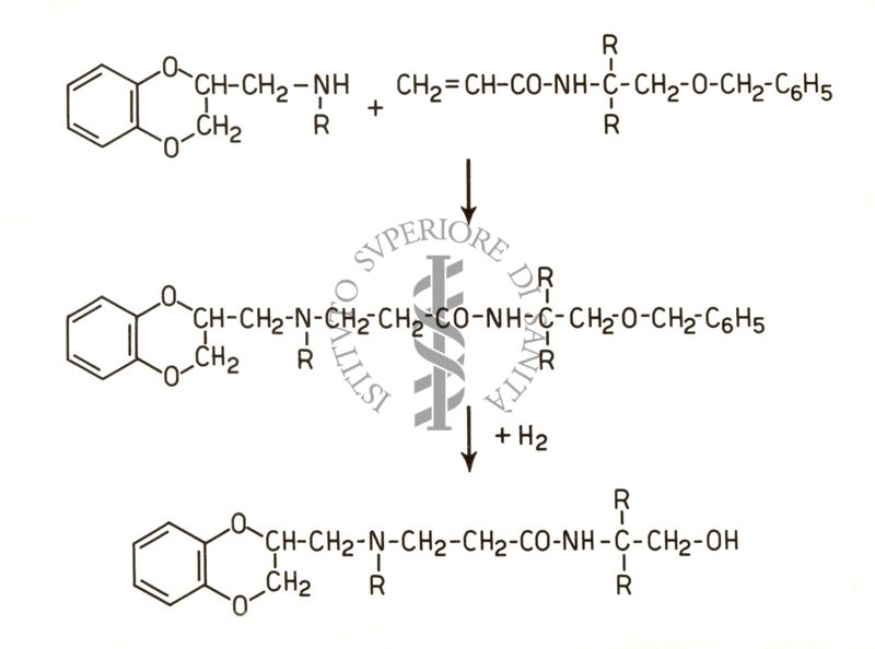 Lavoro B - Alaninammidi 4 - fenil - N - metil piperidina