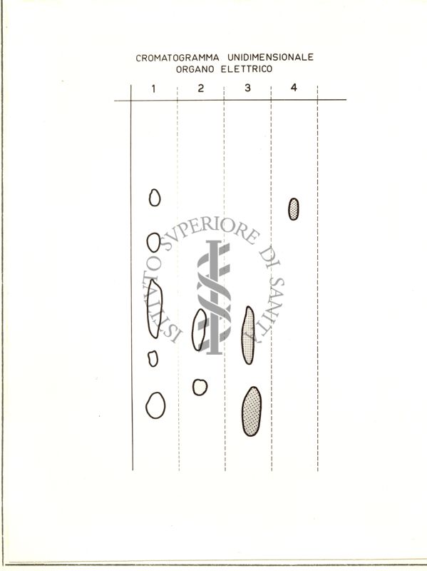 Cromatogramma unidimensionale organo elettrico