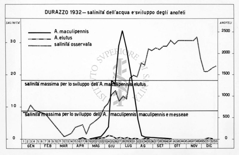 Salinità dell'acqua e sviluppo degli anofeli. Durazzo, 1932
