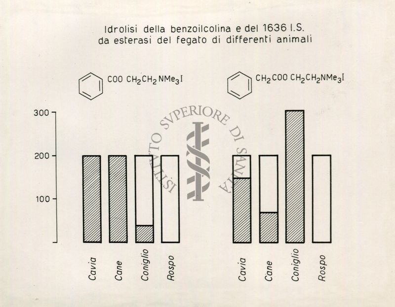 Azione degli esterasici sulla Benzoilcolina